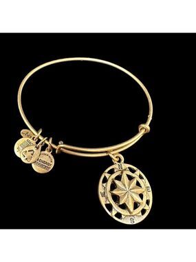 ALEX ANI Charm Bangle Bracelet Openwork Compass Rose Gold Tone Expandable Wire